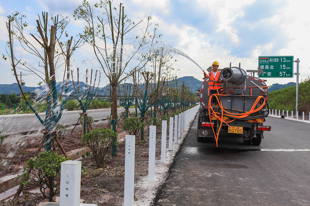 镇广高速c9段绿化管理.jpg